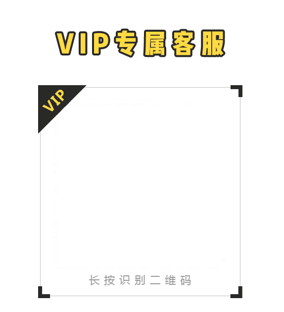 VIP专属客服